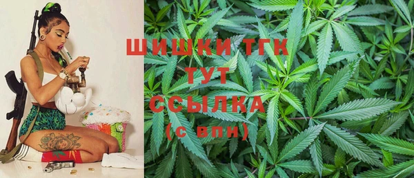 тгк Володарск