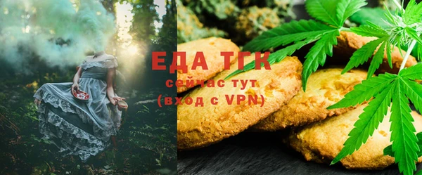 тгк Володарск
