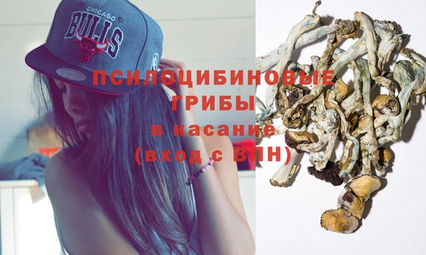 тгк Володарск