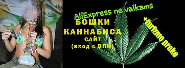 тгк Володарск