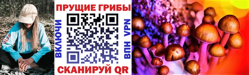 Псилоцибиновые грибы мицелий  магазин продажи   Эртиль 